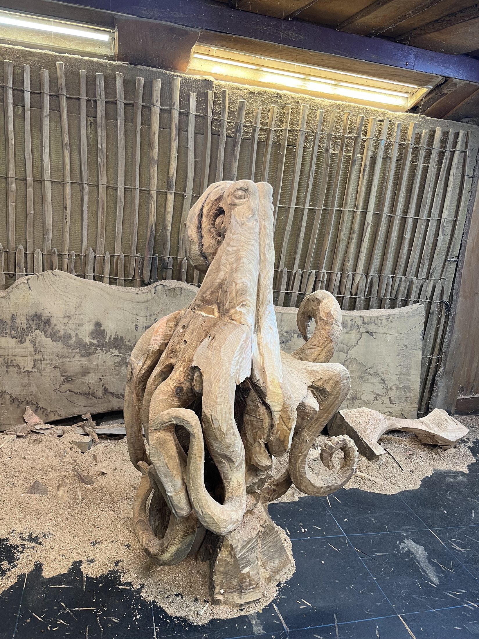 Octopus · Amsterdams Grachtenhout